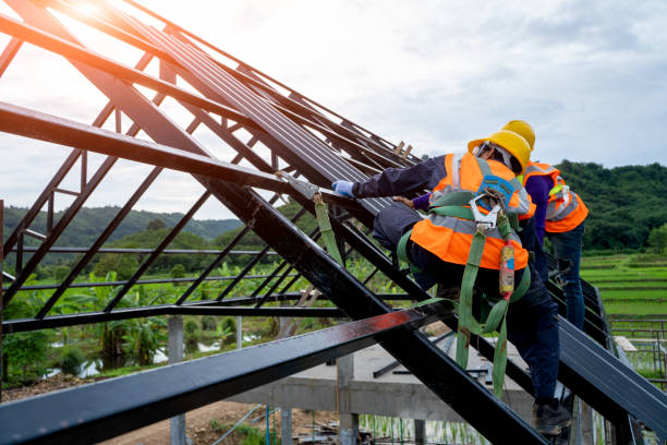Best Shingle Roofing Installation  in Warrenvle, IL
