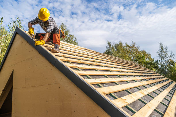 Best Roof Inspection Near Me  in Warrenvle, IL