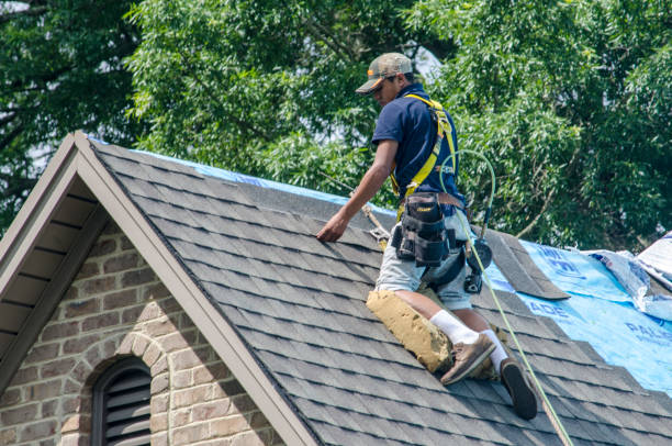 Best Roof Repair Specialists  in Warrenvle, IL